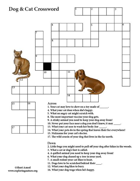 Dog and Cat Crossword Puzzle