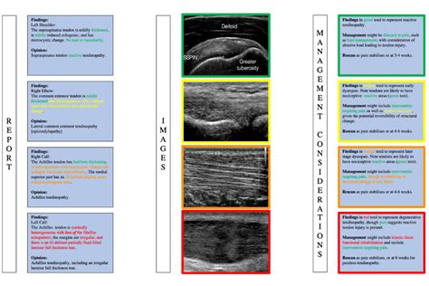 How to tendinopathy 3: using the ultrasound report — Sound Experience ...