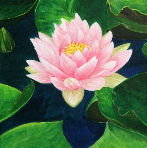 Lotus Flower, by Esther Besnier (Acrylic on canvas) | Lotus flower art ...