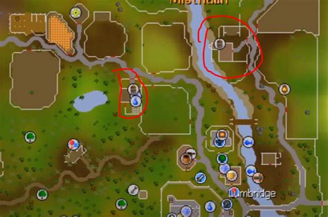 OSRS How to Catch Trout/Salmon Fishing Guide - NovaMMO