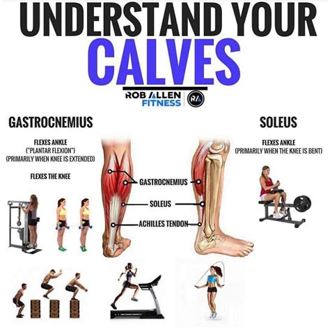 🐄Understand your Calves🐄 . Follow @roballenfitness for more fitness ...