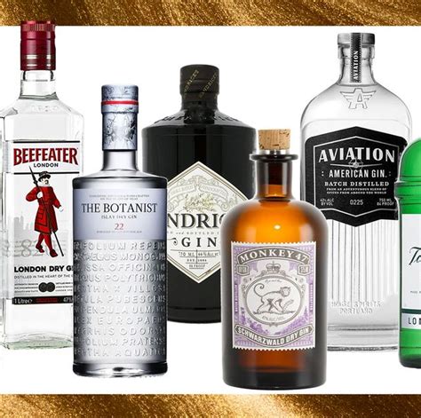 The Best Bottles Of Gin You Can Buy, Whether You're Unfamiliar With The ...