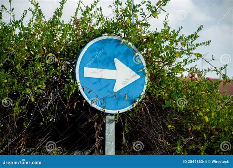 Closeup of a Road Sign with an Arrow for a Mandatory Right Turn ...