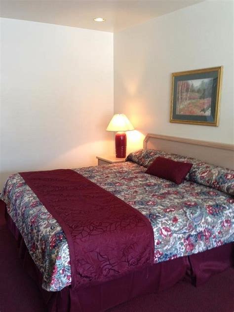 THUNDERBIRD MOTEL - Updated 2021 Prices & Hotel Reviews (Missoula, MT ...