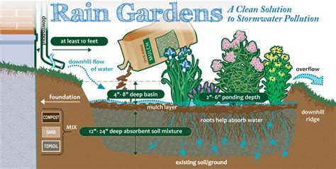 How To Design A Rain Garden / Raingarden In A Box Designs Prior Lake ...