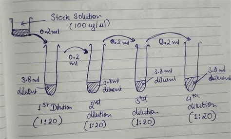 [Solved] 1: What is the dilution if you add 0.2 mL of a stock solution ...