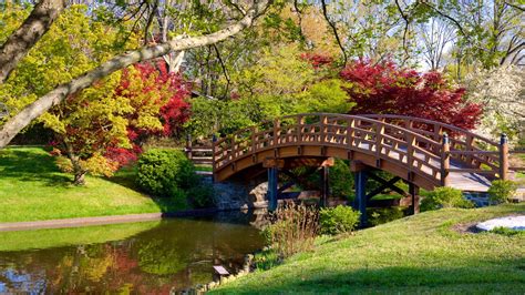 Missouri Botanical Gardens and Arboretum Pictures: View Photos & Images ...