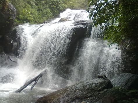 5 Stunning Waterfalls in Coorg that will Leave You Awestruck | Trawell ...