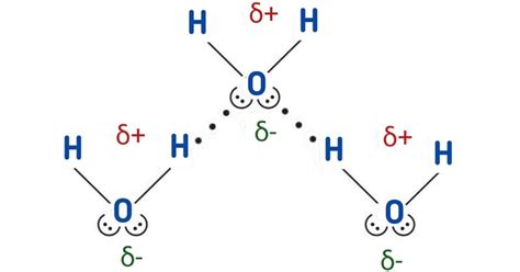 What Is Hydrogen Bonding?. Hydrogen bonding is the electrostatic… | by ...