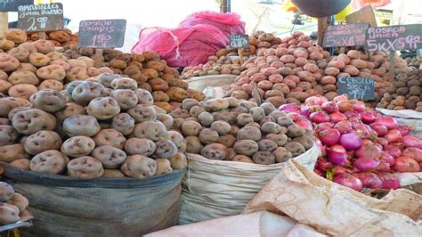 The fascinating history behind Peru's humble potato