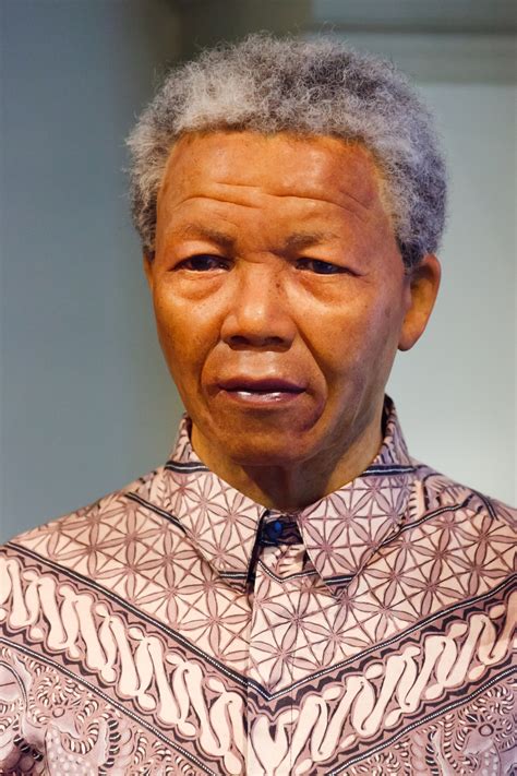 Nelson Mandela Free Stock Photo - Public Domain Pictures