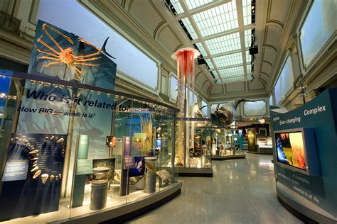 √ National Museum Of Natural History Sant Ocean Hall - Alumn Photograph