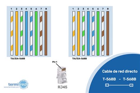 Dólar prosa cosa conector de internet colores canal Primitivo Transitorio