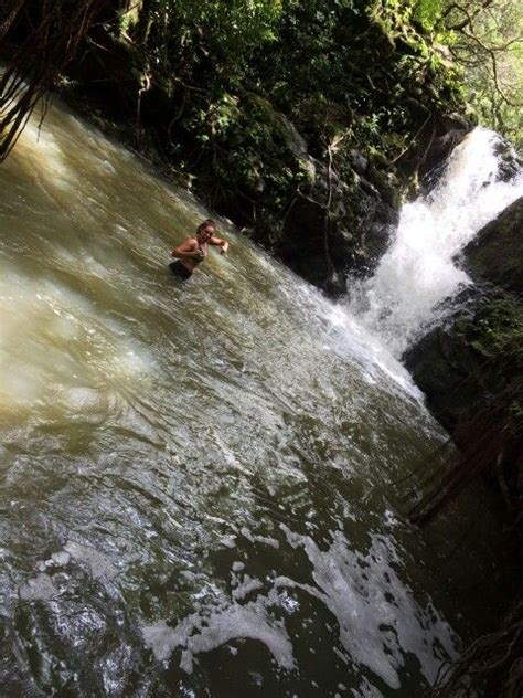 Aiea loop trail waterfall Aiea hawaii | Aiea hawaii, Oahu, Hawaii