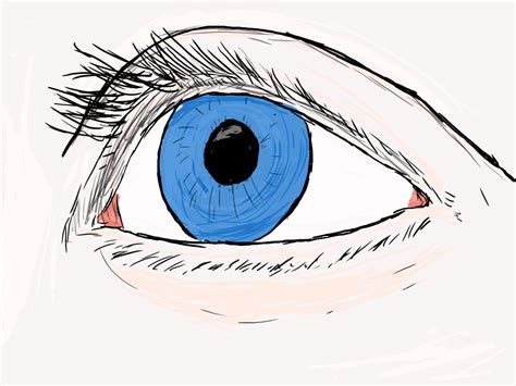 Eye Animated Gif ~ Blinking Eyes Animation | Bodaypwasuya