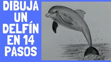 Delfin Dibujo Realista A Color - madathos