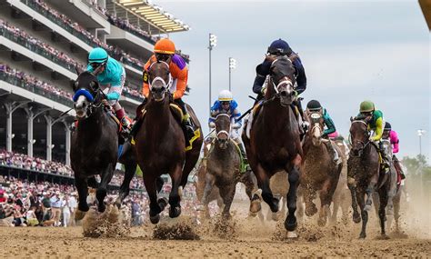 Kentucky Derby 2025 Horses Winner - Ronald Johnson