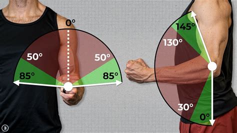 Elbow Flexion And Extension Exercises