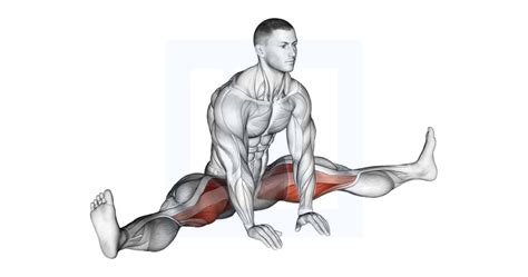 Sitting Wide Leg Adductor Stretch - Guide, Benefits, and Form