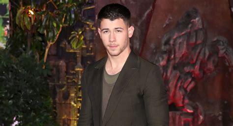 Nick Jonas Steps Out for ‘Jumanji’ Premiere After First-Ever Golden ...