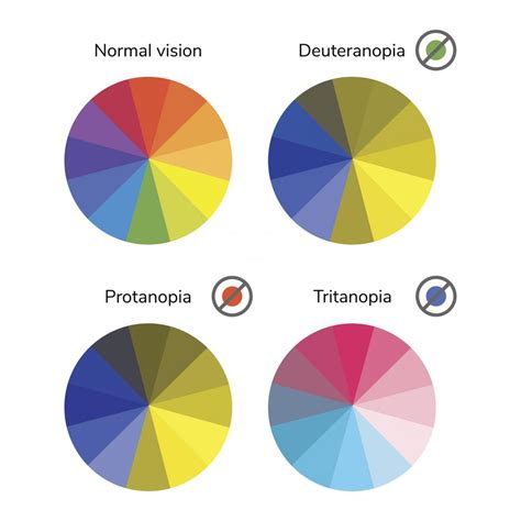 Colour Blindness - Enchroma | Eye Doctor in Albany, Auckland