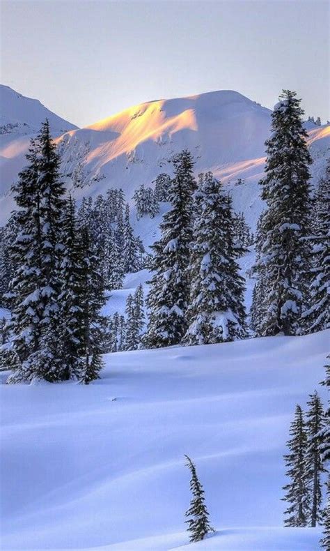 Pin by Delia Solis on navidad | Winter photography, Winter landscape ...