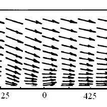 c. Vector flow field. | Download Scientific Diagram