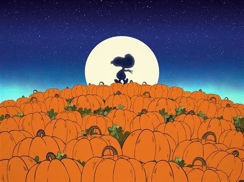 Watch It’s the Great Pumpkin, Charlie Brown - Apple TV+ (IN)