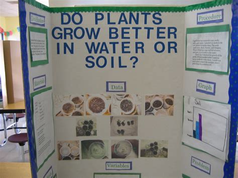 Science Fair Project Plant Growth