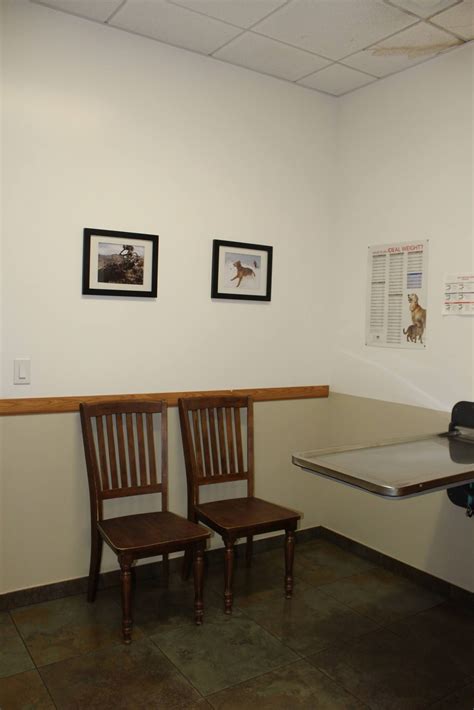 Four Paws Veterinary Center Tour | Vet Clinic In Dublin, CA