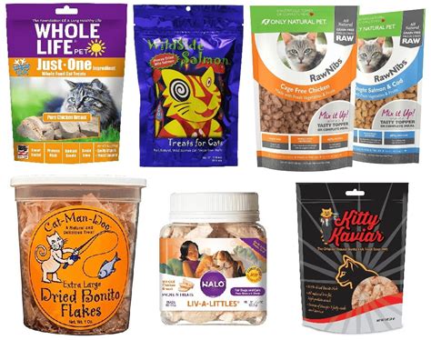 Top 10 Healthy Cat Treats - They Will Come Running For - Floppycats™