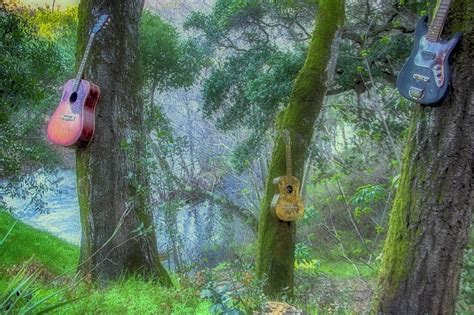 Guitar Garden Photograph by Ellen Berrahmoun - Fine Art America