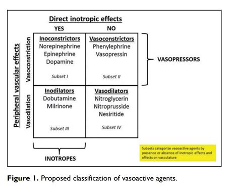 Vasopressor Drug Chart