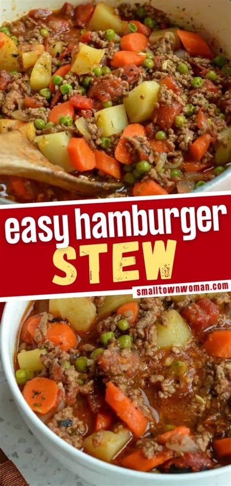 Hamburger Stew (One Easy Quick and Economical Meal)