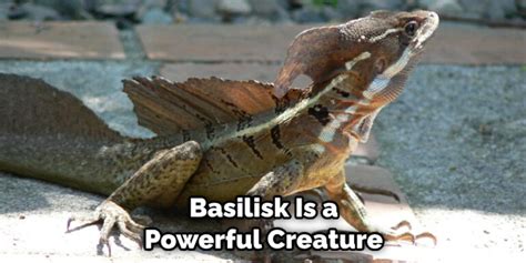 Basilisk Meaning, Symbolism, and Totem | Helpful Explanation