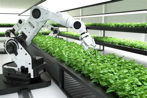 Robotics in Agriculture: Advantages and Disadvantages