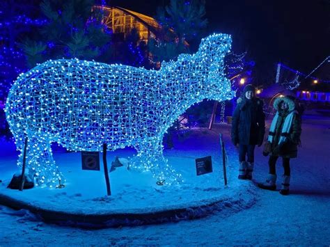 Enjoy Calgary's Biggest Holiday Light Display at ZOOLIGHTS - Play ...