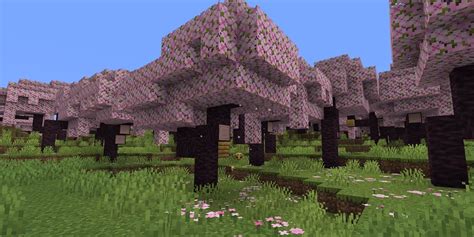 Cherry Blossoms Minecraft Skin - Loni Marcela