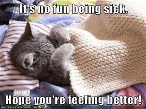 get well | Cute animals with funny captions, Funny cat captions, Funny ...