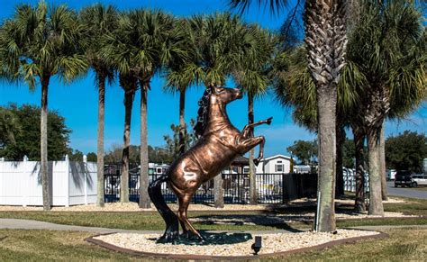 Enjoy Our Ocala, Florida RV Park Photo Gallery | Ocala Sun RV Resort