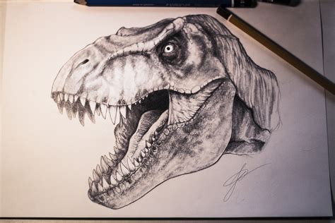 Realistic T Rex Drawing