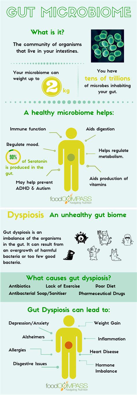 How Microbes Fight For Good Gut Health