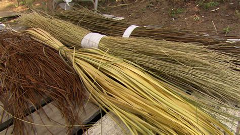 sweetgrass baskets