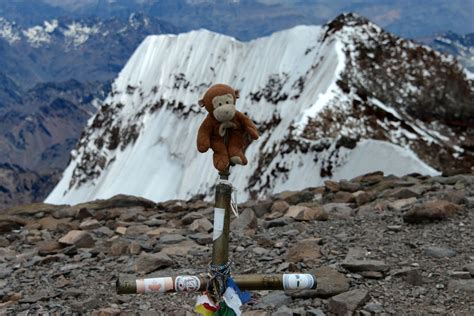 46 Dangles On The Aconcagua Summit 6962m Cross With Aconcagua South ...