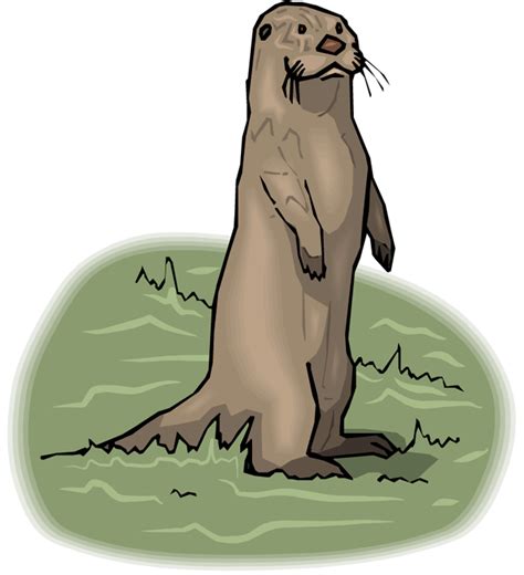 Giant otter clipart 20 free Cliparts | Download images on Clipground 2023