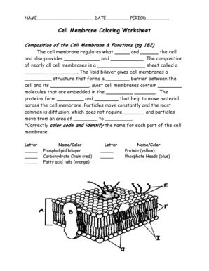 Cell Membrane Coloring Worksheet - Fill Online, Printable, Fillable ...