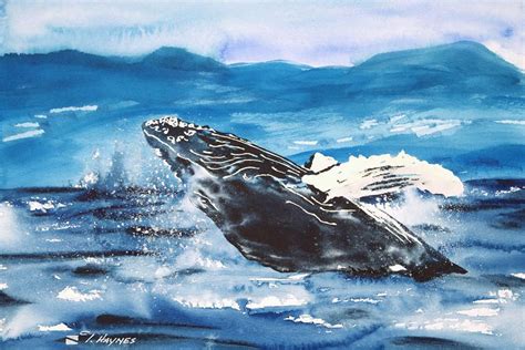 Whale Breaching by Tanya L Haynes - Printscapes | Whale, Watercolor ...