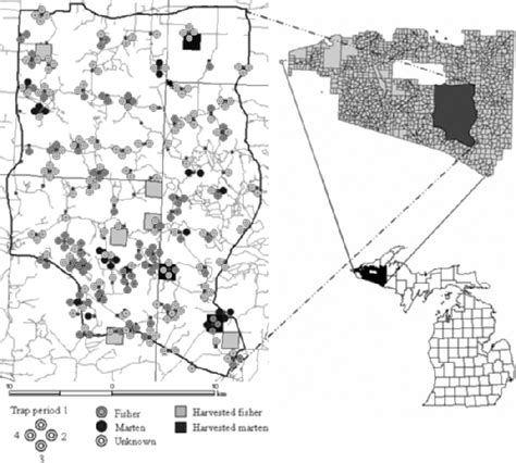 Map of the study area in the Ottawa National Forest, Upper Peninsula of ...