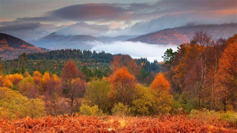 The Trossachs National Park in autumn, Stirling, Scotland | Peapix