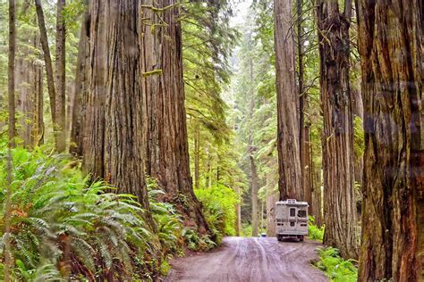 Jedediah Smith Redwoods State Park: The Complete Guide